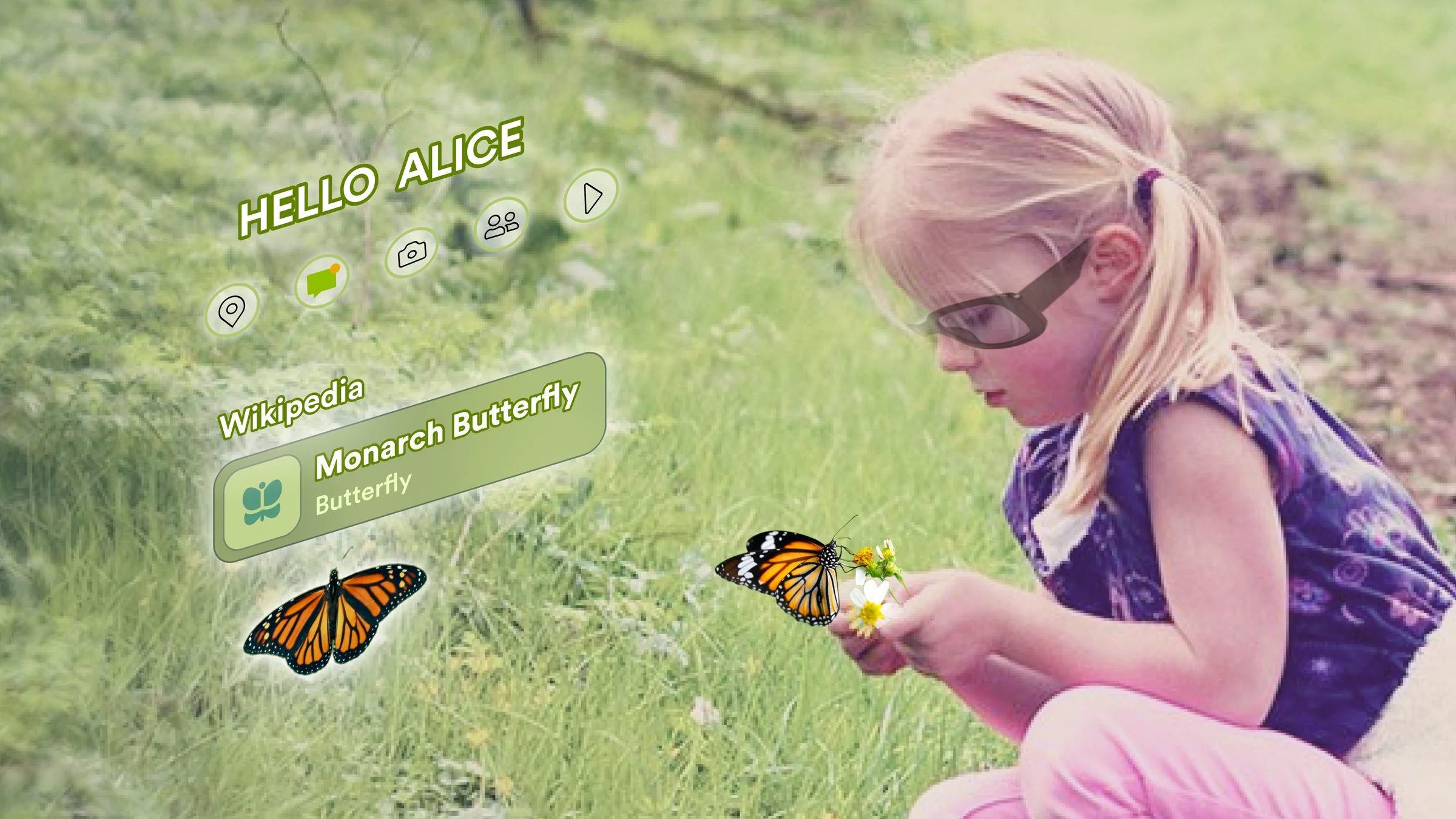 A child crouching in grass beside a butterfly on a flower, with a translucent panel floating in front of the scene that names the species and offers a few controls.