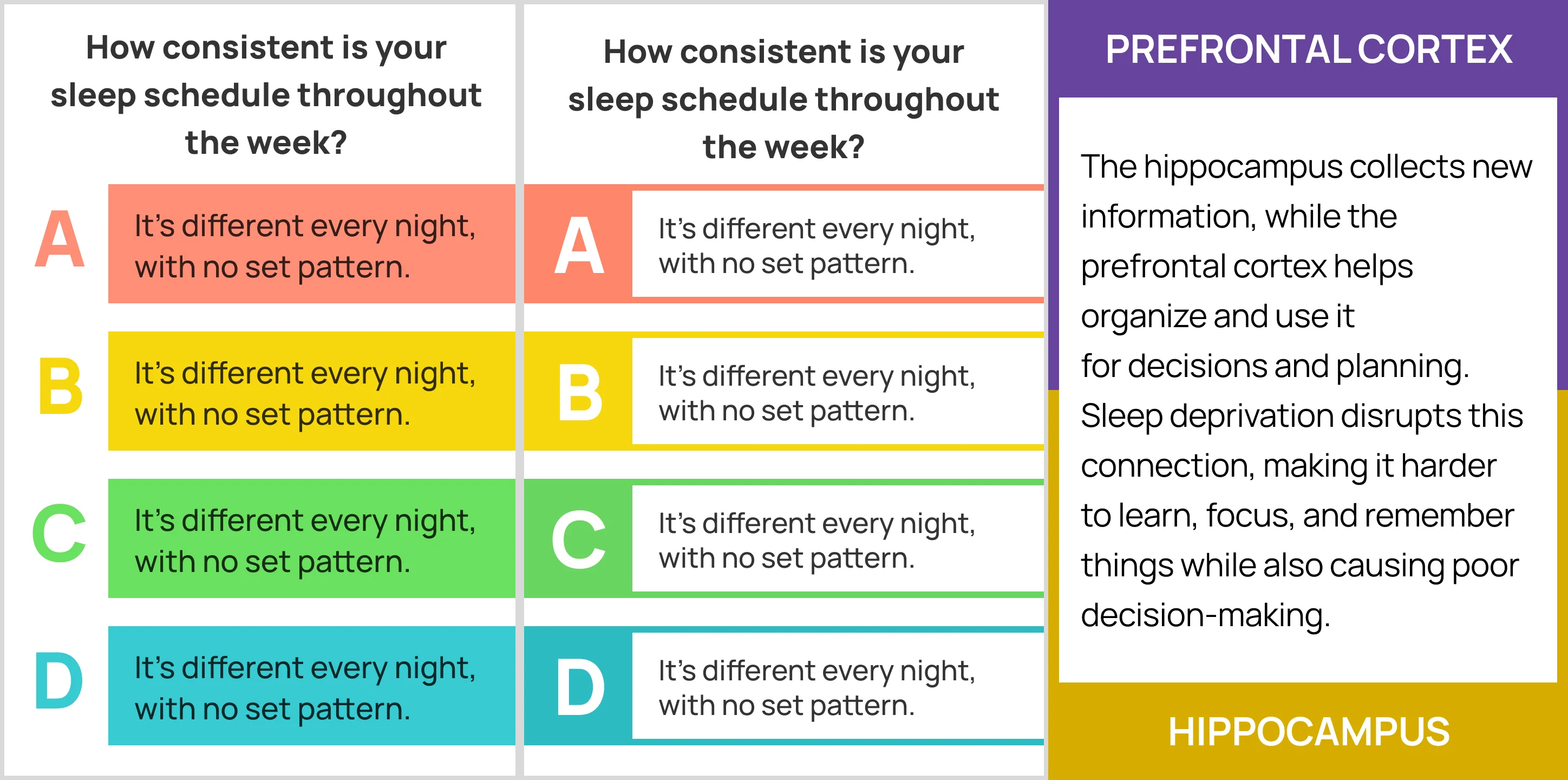 Version 3: two fronts asking the same question about sleep schedule in different layouts, beside a back split between PREFRONTAL CORTEX and HIPPOCAMPUS.