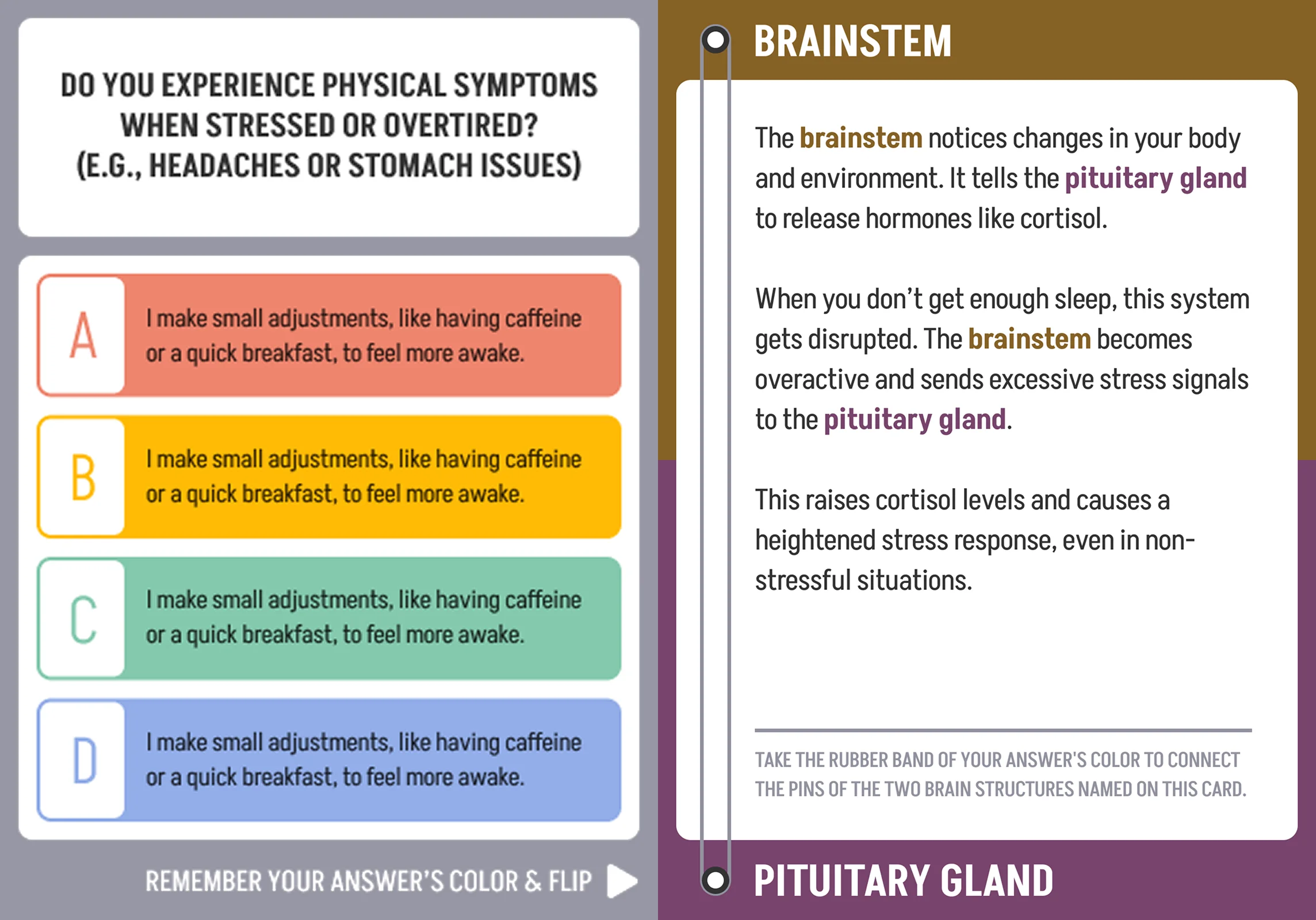 Version 4, front and back. The front asks about physical symptoms when stressed or overtired; the back is headed BRAINSTEM and PITUITARY GLAND, with pins drawn down one edge and a line telling the visitor to take the band in their answer colour.