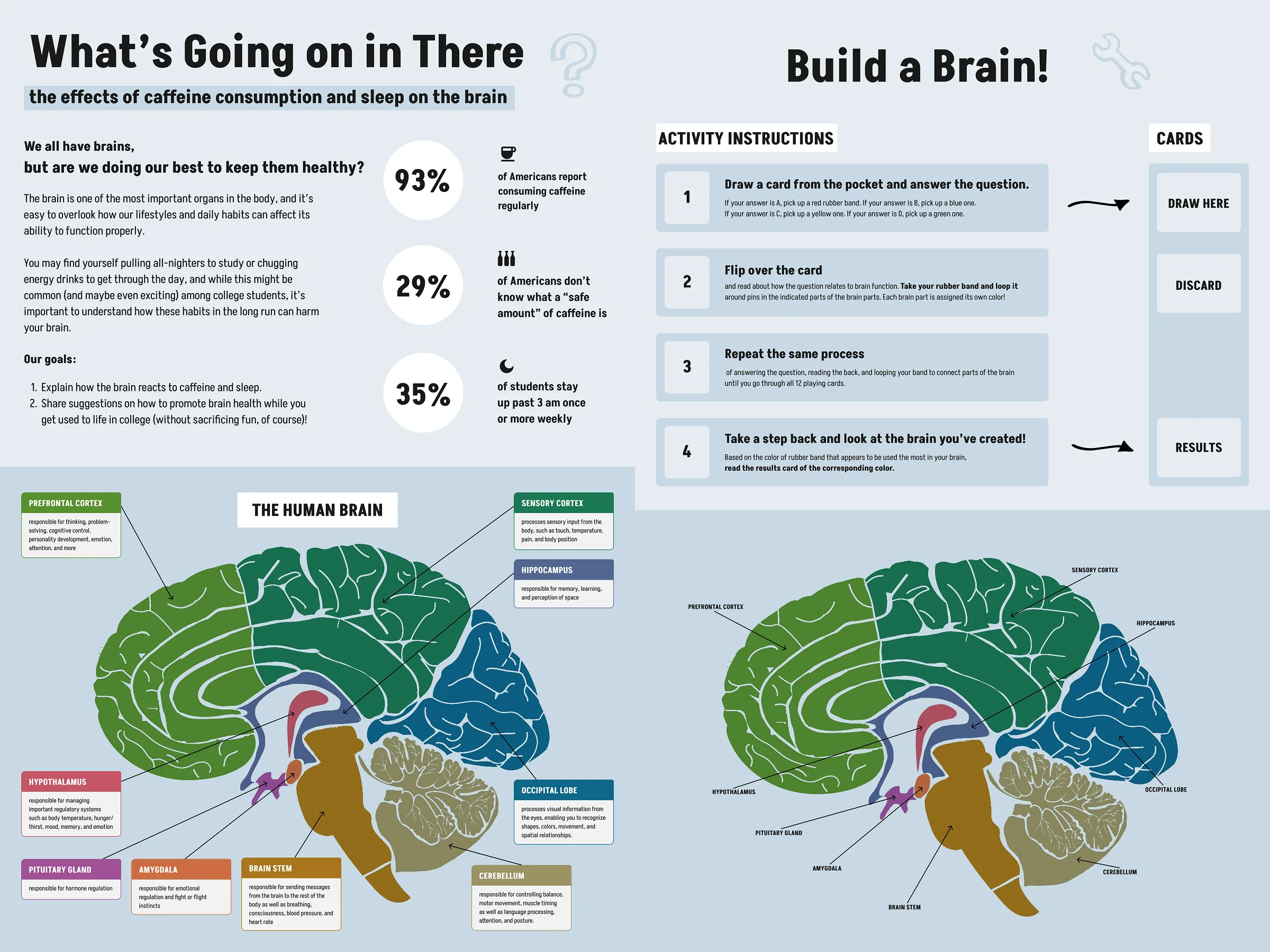 Version 2 on a blue ground. The same statistics and four instruction steps are set into rounded boxes, and the two brain diagrams below now carry coloured region labels.