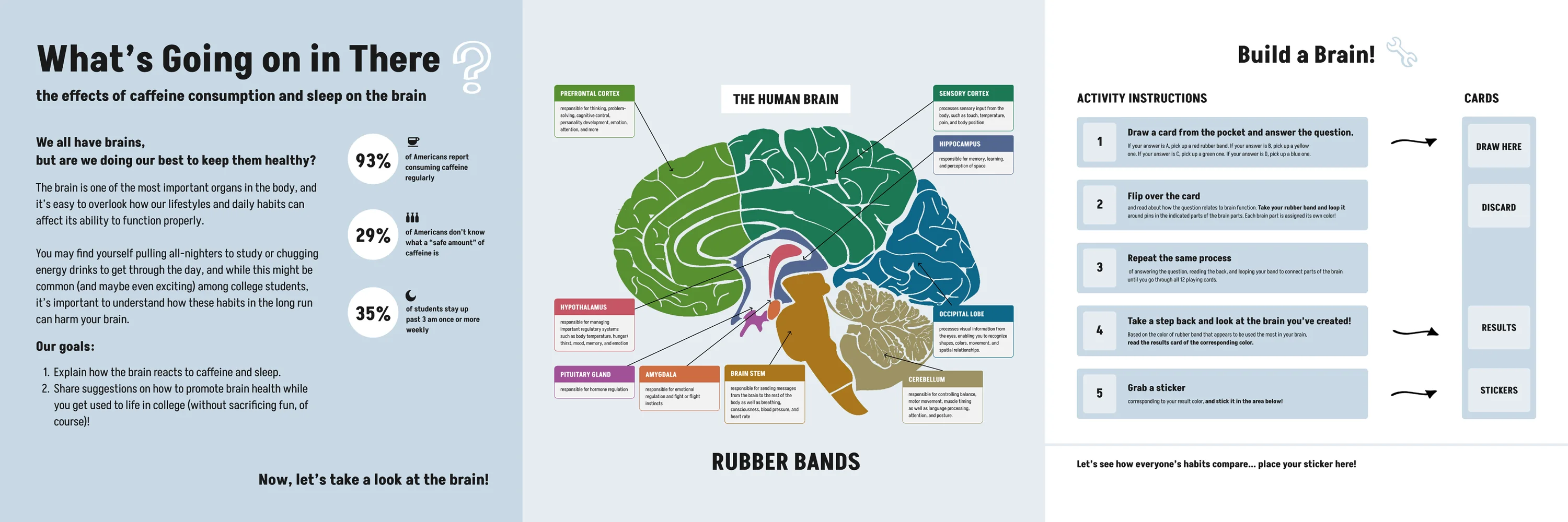Version 3, now three panels wide: an introduction and statistics on the left, the labelled brain headed THE HUMAN BRAIN in the middle, and five instruction steps on the right beside pockets for cards, results and stickers.