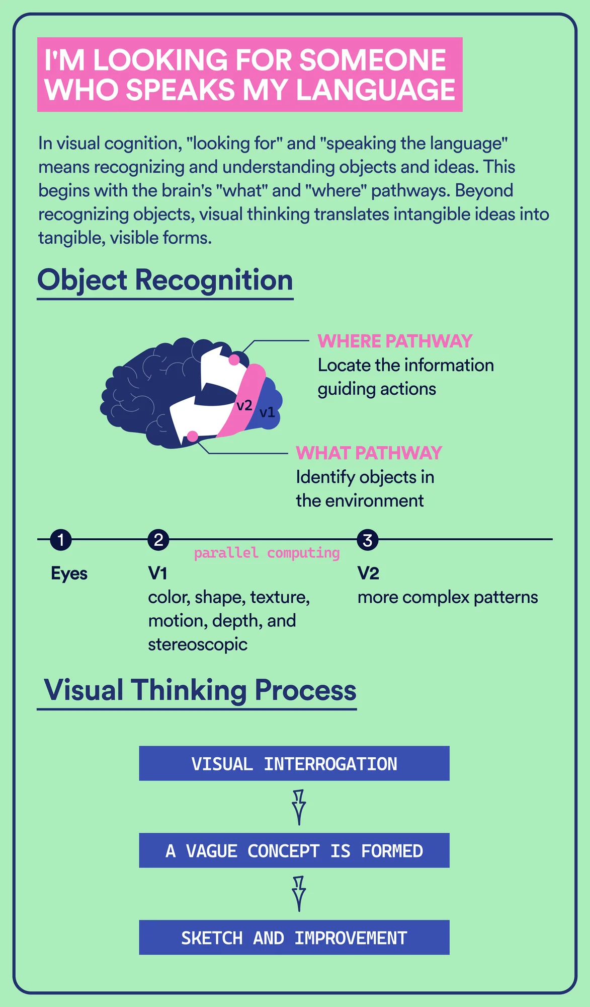 A poster panel with a brain diagram labeled with what and where pathways, followed by a numbered sequence and a three-step visual thinking flow.