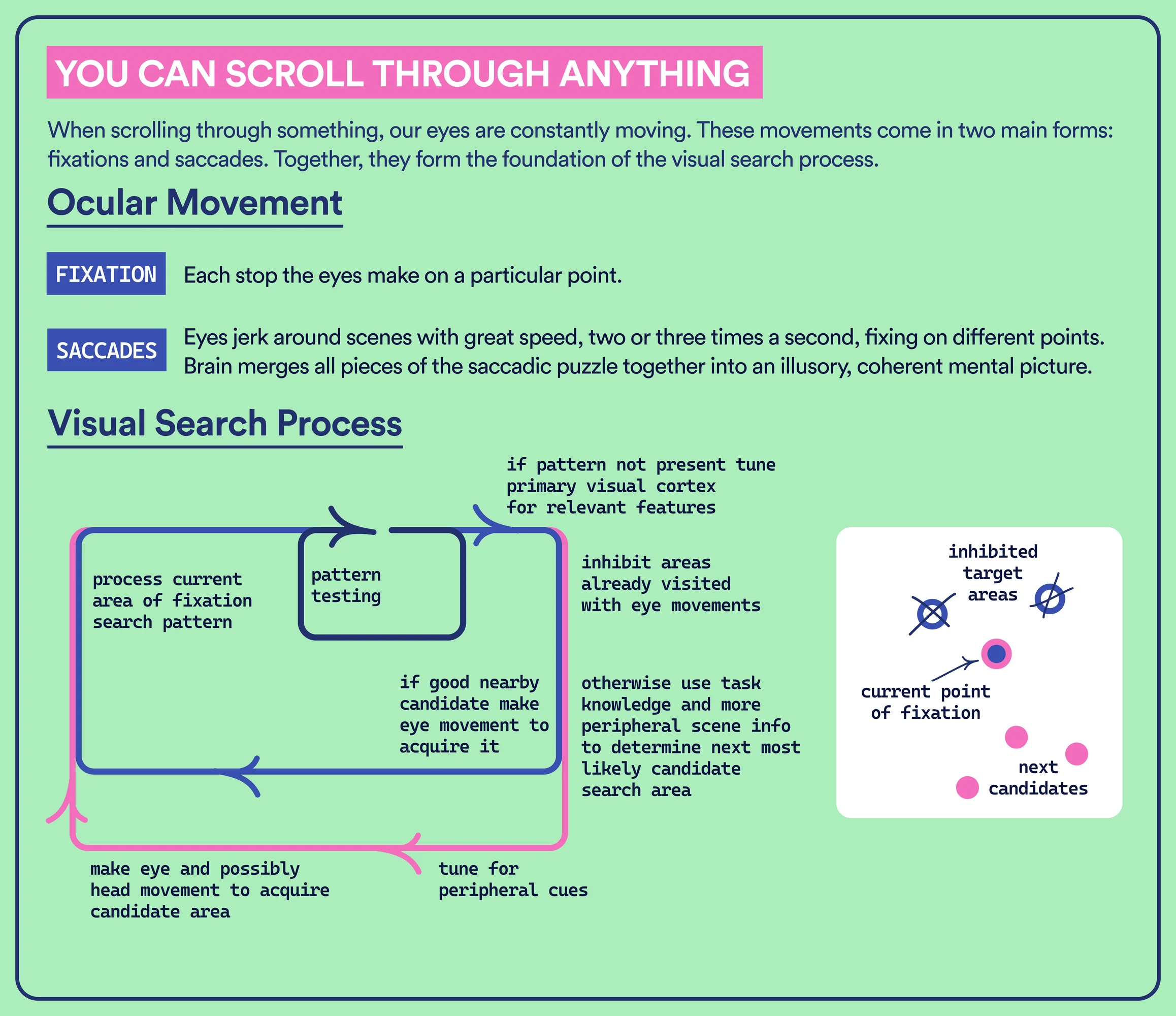 A poster panel defining fixation and saccades, with a visual search loop and a diagram of the current fixation point, visited locations, and possible next targets.